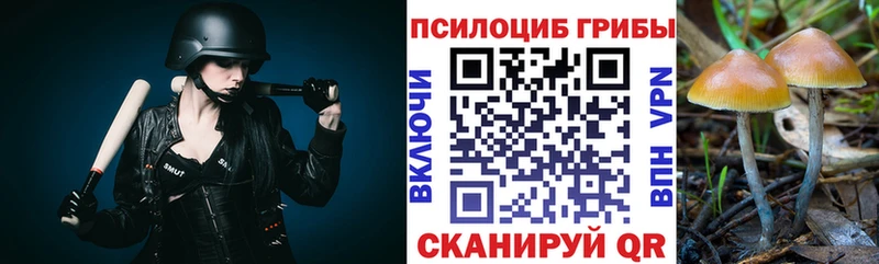 блэк спрут вход  Донской  Псилоцибиновые грибы прущие грибы 
