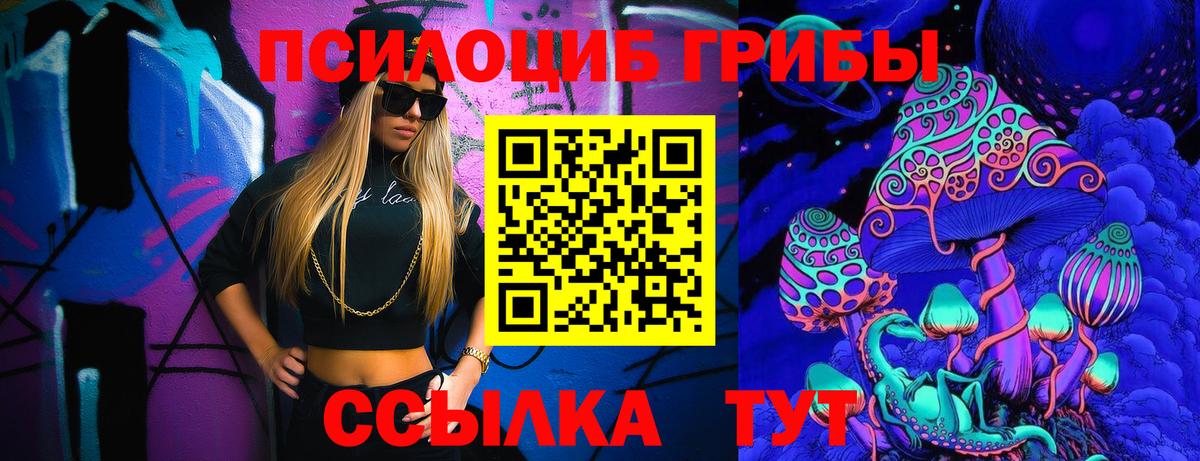 Галлюциногенные грибы Psilocybine cubensis Донской