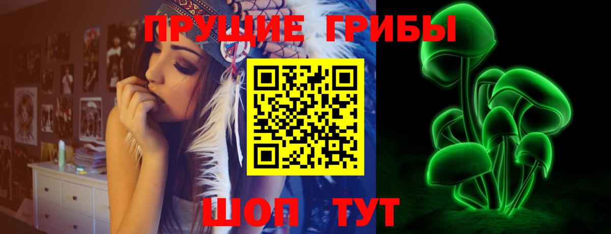 Донской  Псилоцибиновые грибы Psilocybine cubensis  Вход с VPN 